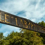 amenagement-bois-panneau-labyrinthe-1