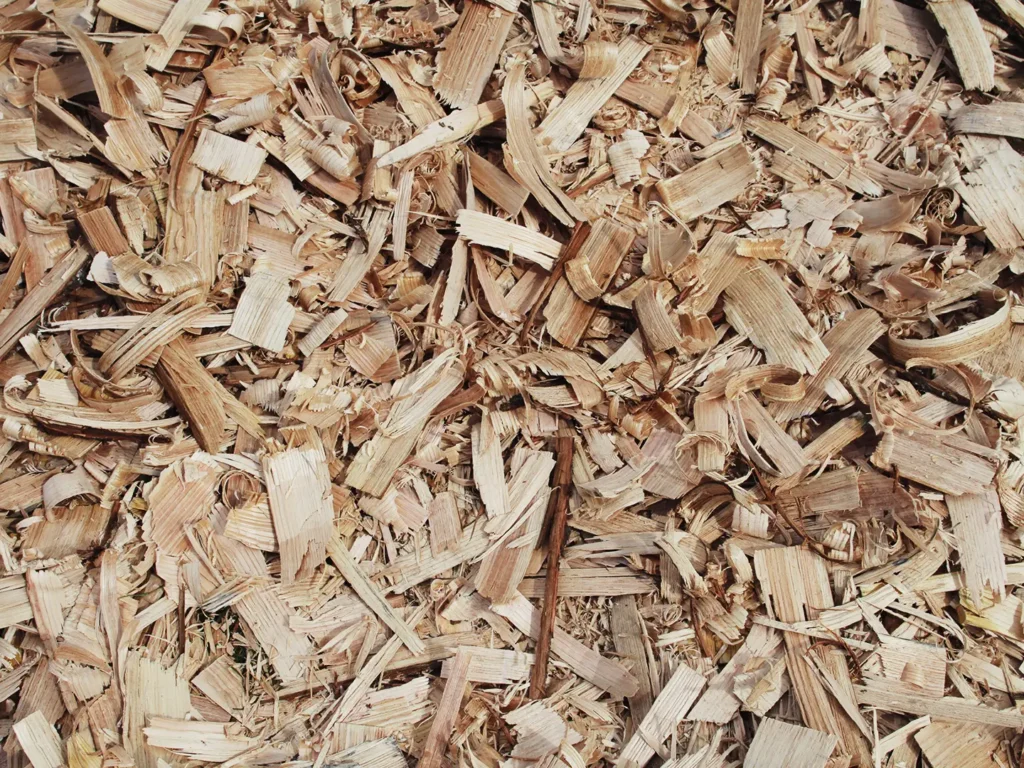Création artisanale et construction bois - Atelier Bois Bois Bois